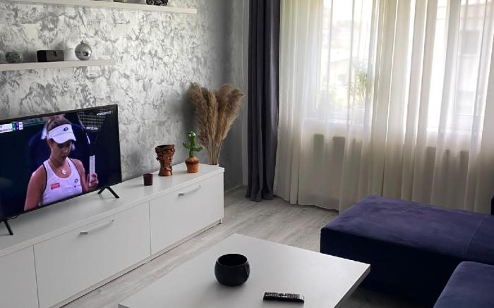 Alesandru Apartament 