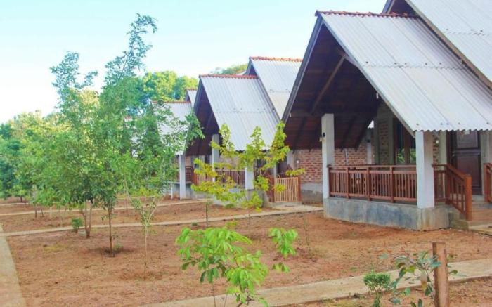 Seeing Green Udawalawa