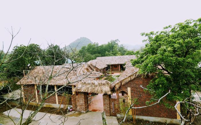 Ninh Binh Palm Homestay