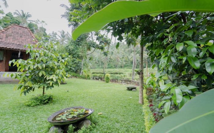 Nishiyama House Sambangan by The Lavana
