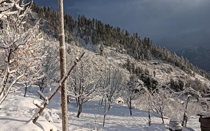 Divya mountain view home stay jamala sharchi 