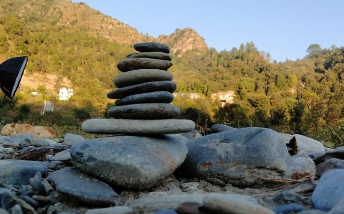 StoneFruit Homestay: 5BR in Chail