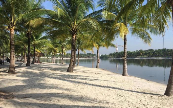 Hera House - BS8A - Beverly Solari - The Tropical