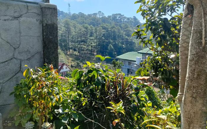 Acai's Transient House 