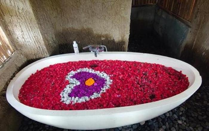 Swaha Retreat & Eco Park Ubud