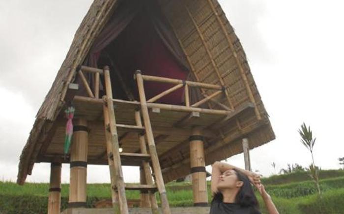 Swaha Retreat & Eco Park Ubud