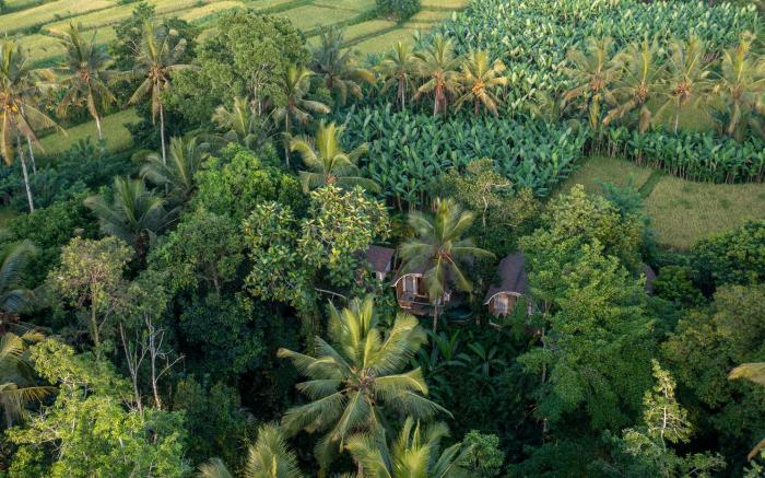 Sacred Canyon Ubud by Pramana Villas