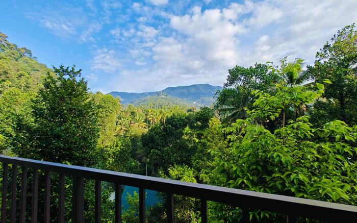 Luna Munnar