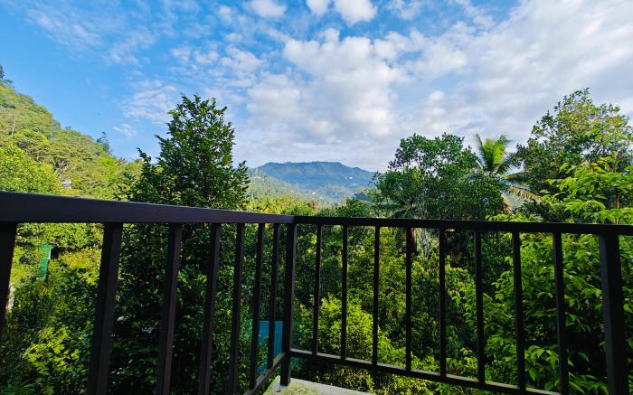 Luna Munnar