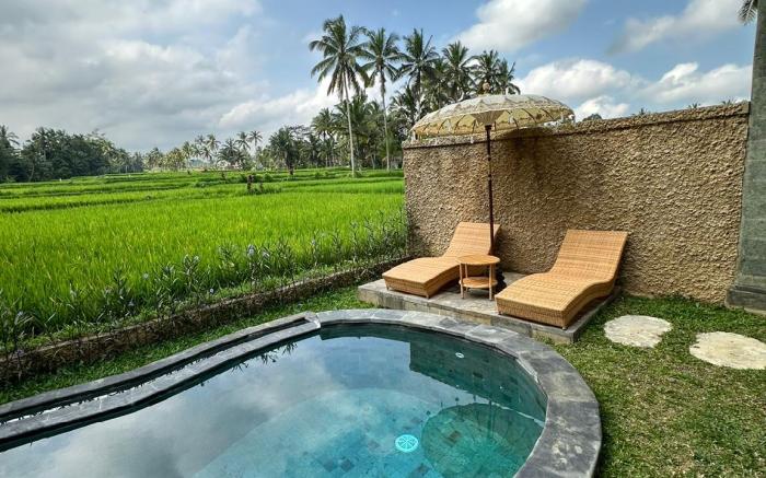 The Alus Cottage and Villa
