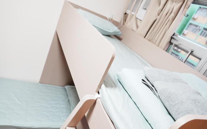 Lina's Guest Room (with shared bathroom) Nasi Asia Homestay B