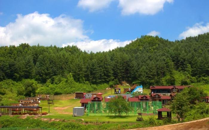 Hoengseong Nature Healing Pool Villa