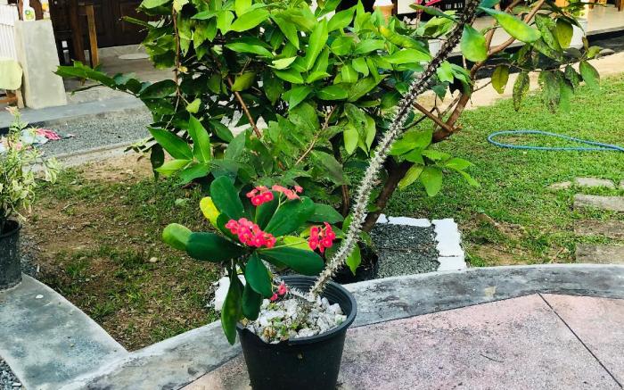 Freedom Breeze villa, A calm relaxed destination 