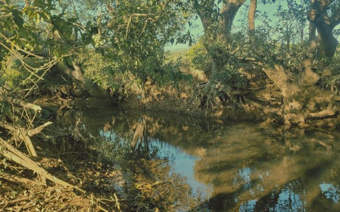 Madhuvan Retreat Resort Amba