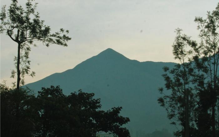 Vythiri Secret Stream Villa