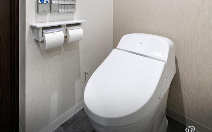 Daiwa Roynet Hotel Toyama-Ekimae