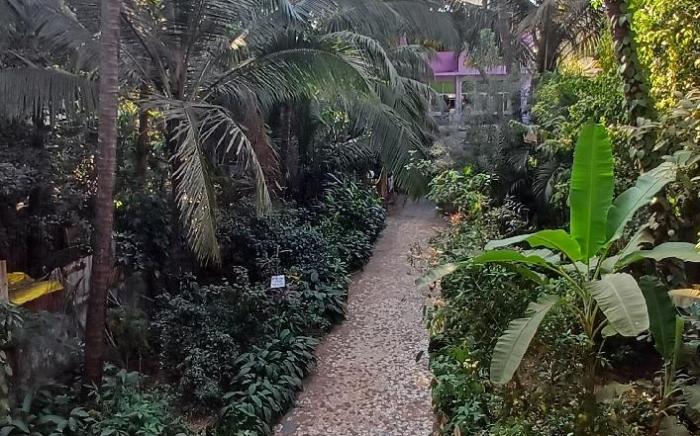 kajal guest house and resort