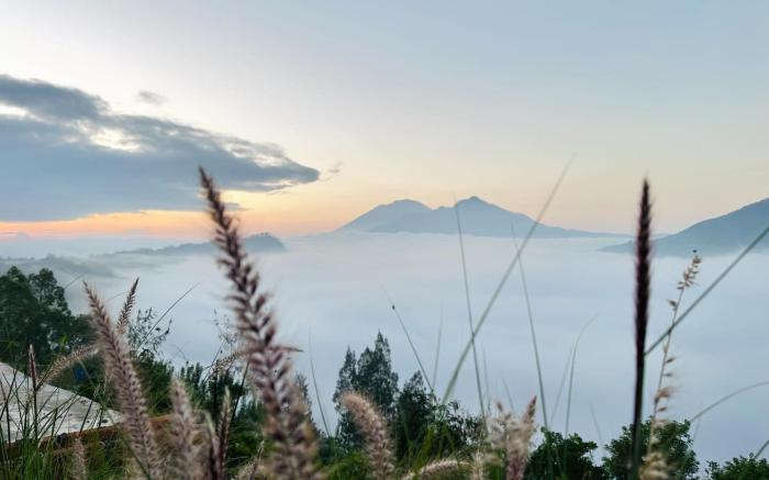 Pinggan Campside Glamping 