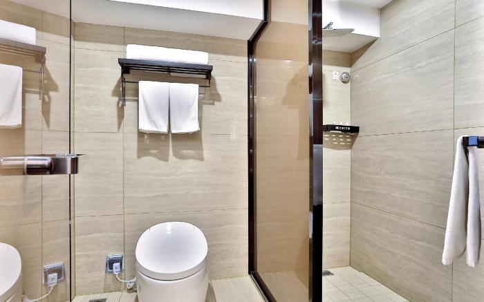 Ibis Styles Hotel Hangzhou East Railway Station Qianjiang New Town