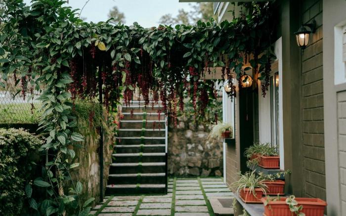 Luxury rooms - The Umber Tea Family Cottage
