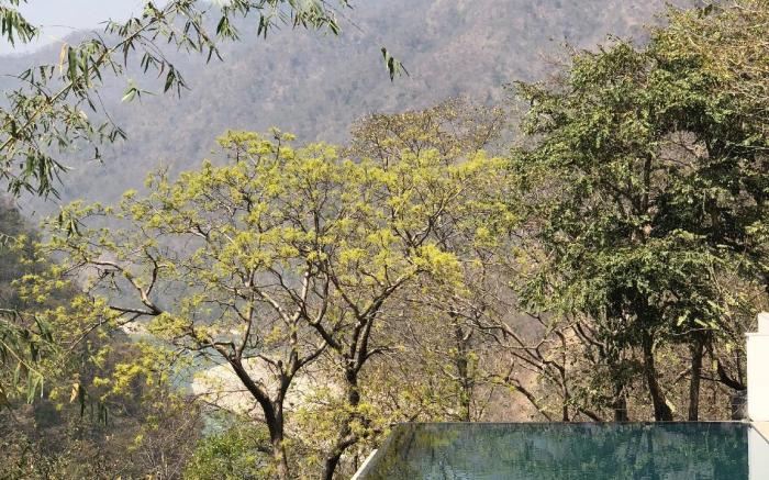 The Roseate Ganges Rishikesh