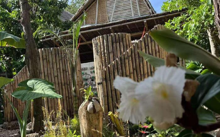 Dumaguete Bamboo Cottages -Dauin