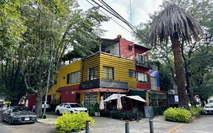 OYO Casa Anzures Thematic