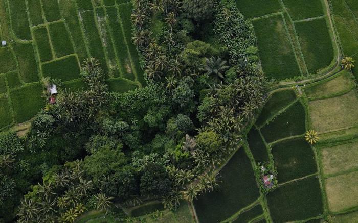 Sacred Beji by Pramana Villas