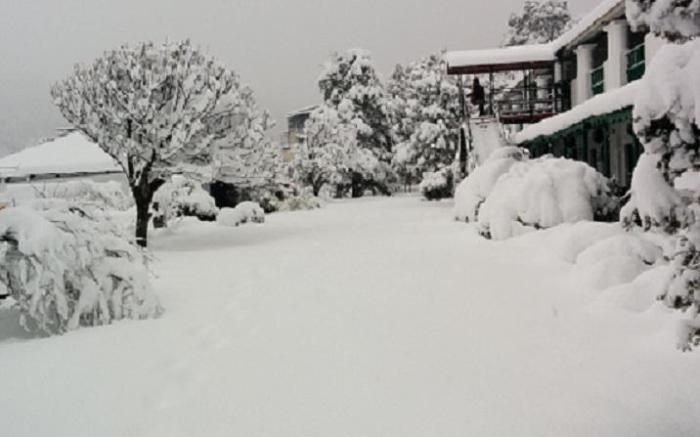 Hotel Himalaya Castle