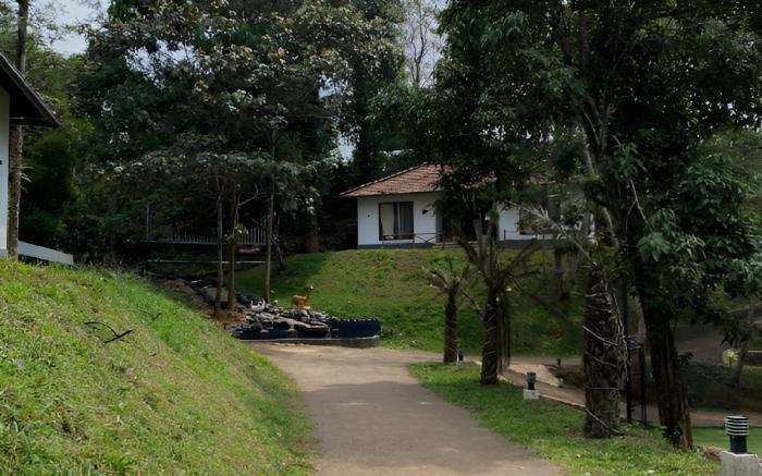 Aditi Resort Vythiri