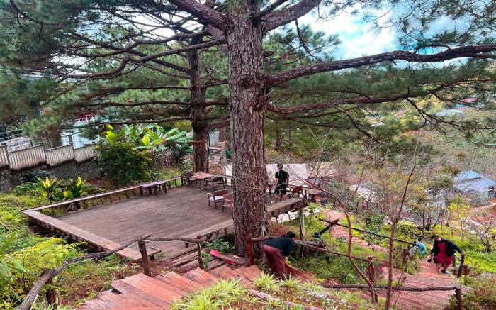 ĐÔNG Homestay 