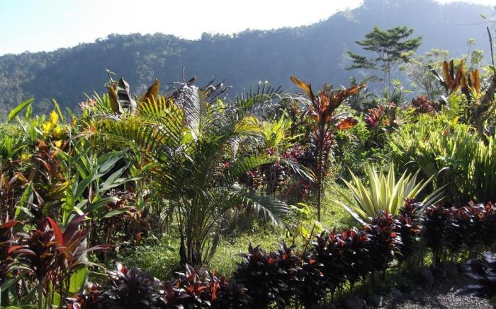 The Bukit Artha Guesthouse