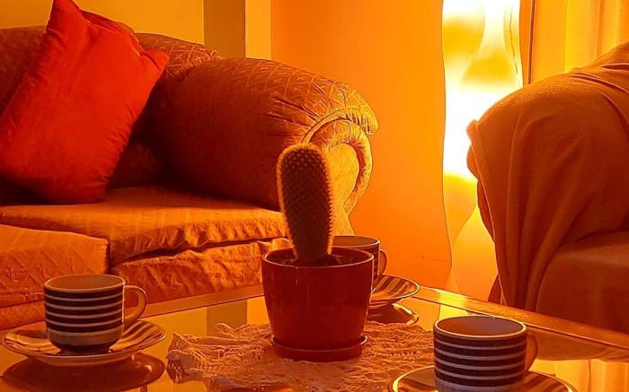 Comfortable downtown apartment, everything close !