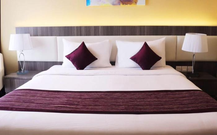 Grand Ion Delemen Premier