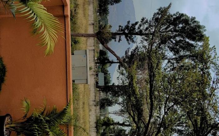 Nature Villa 