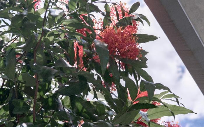 Private Loft Villa with a Pool Riverhouse