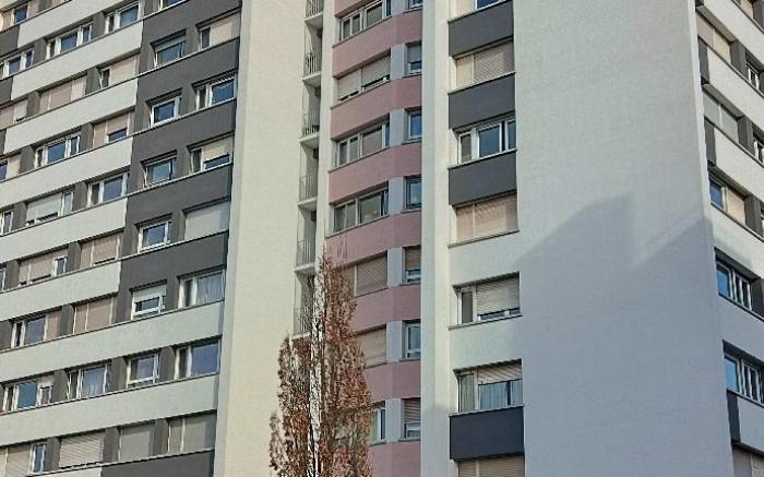 Appartement Zen Strasbourg centre avec parking