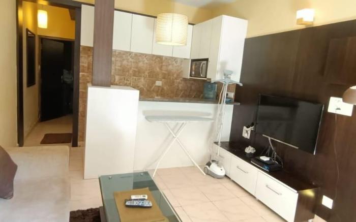 Lavish 1 Bedroom Apartment With Pool/Backup