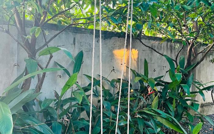 Tam Anh’s Homestay