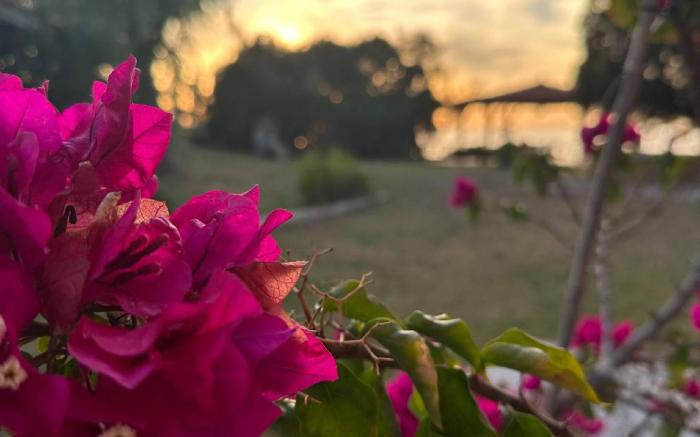 Genari Beach Apartments- Sea View Apartment