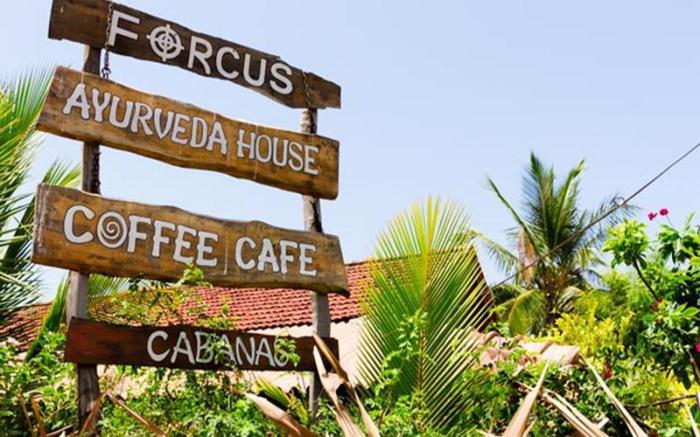 Forcus Cabanas Guest House
