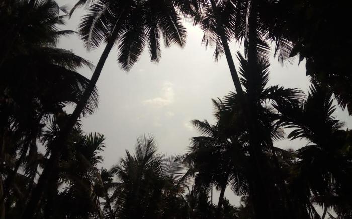 Pratiksha Cottage