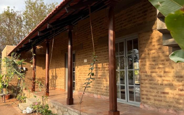 Ficus by Kilukka Farms