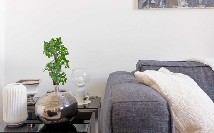 Elegant  flat in Cannes 2BR-4P