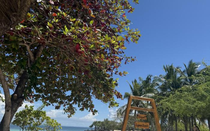 Chellie Rose Resort Hotel