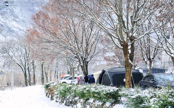 Riverside Forest Pension & Camping