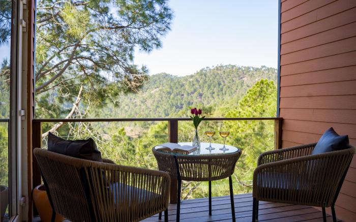 Vintage Premium Cottages||Mountain view near Solan