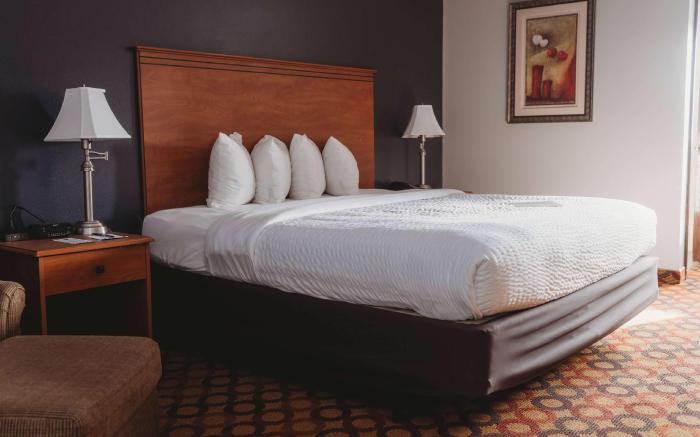 AmericInn by Wyndham Appleton Downtown