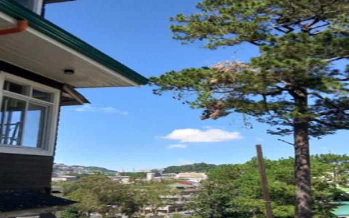 BADEN POWELL HOSTEL  PROPERTY CORP