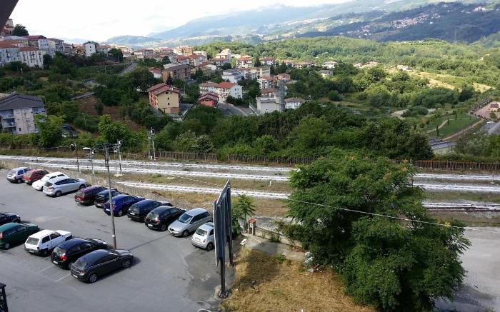 Il Tulipano